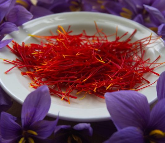 Zafferano